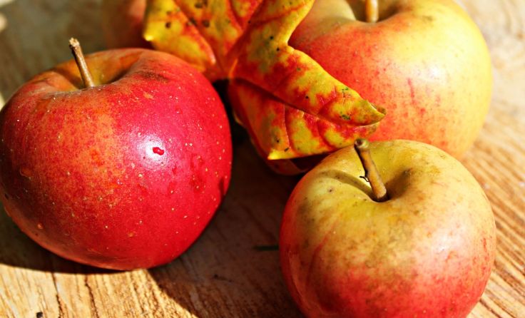 Ehrentag der Vitaminbombe Apfel. 