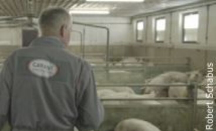 (c) Robert Schabus