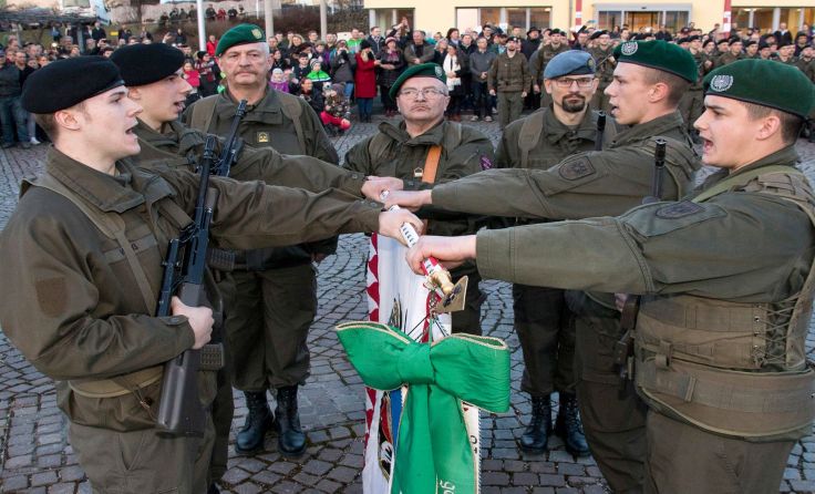 153 Rekruten legten in Rohr den Treueeid auf die Republick ab. Fotos: Bundesheer / Simader