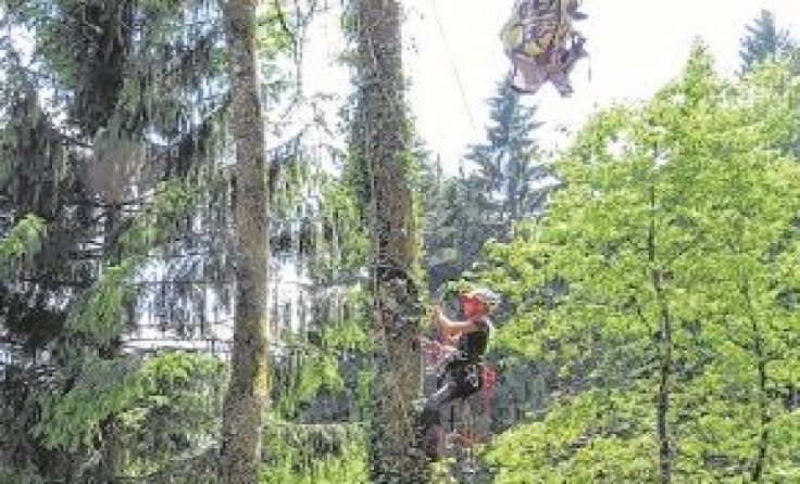 Gabi Leitner bei der Bergungsübung (Foto: ÖBRD)