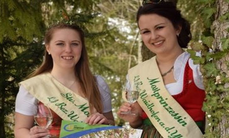 Ein buntes Rahmenprogramm begleitet die Mostkost im Klein-Eibenberg. 