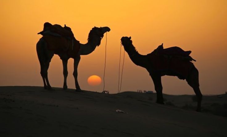 Der Vortragende entführt in die atemberaubende Welt Indiens. Foto: Werner Simi