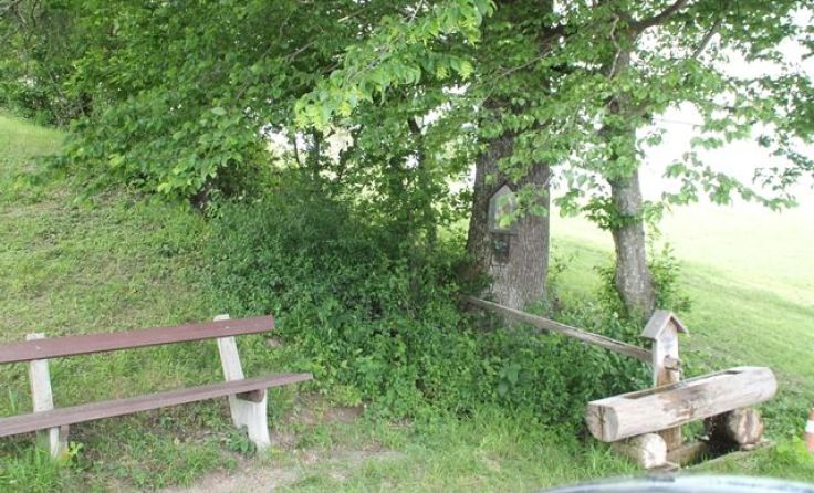 In der Natur begegnet man sich selbst am besten. Foto: Karin Novak