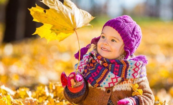 Für Herbstlaub gibt es viele praktische Nutzungsmöglichkeiten. Fotocredit: AdobeStock 