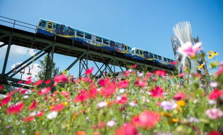 Die Waidhofner Citybahn ist weiter auf Erfolgskurs. Foto: NÖVOG/Kerschbaummayer