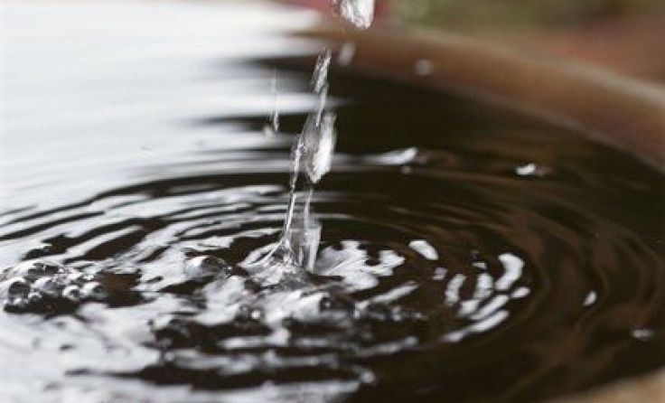 Foto: AdobeStock