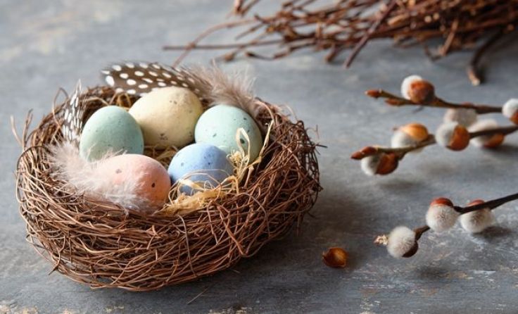 Foto: Friedbert Fischer/Shutterstock.com
