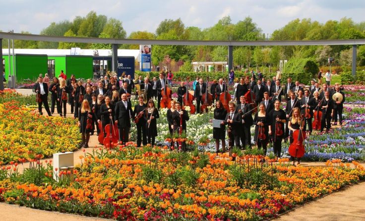 Das Waidhofner Kammerorchester unter Leitung von Wolfgang Sobotka (Foto: Günter Edelmayer)