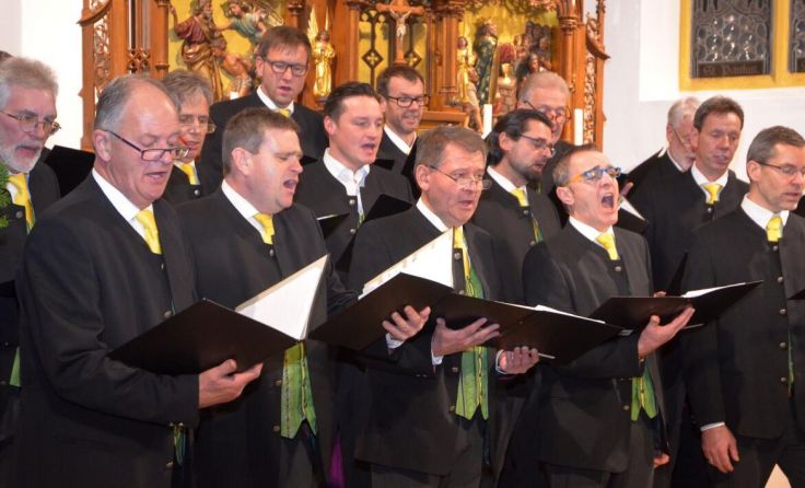 Der Männergesangsverein Wolfsbach bei seinem Adventsingen in der Pfarrkirche (Foto: Ebner)