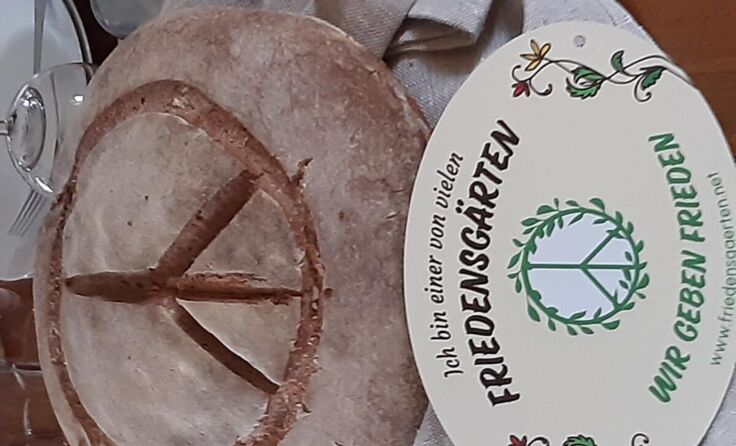  (Foto: zVg)