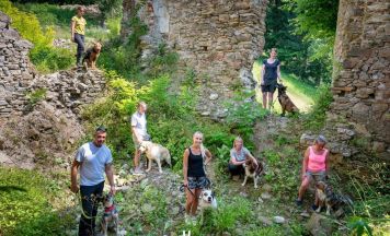 Sportsuchhunde trainierten in der Ruine Perwarth