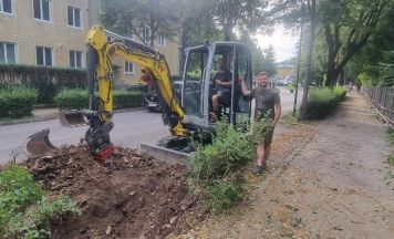 Brandkrustenpilz: Drei Linden mussten gefällt werden