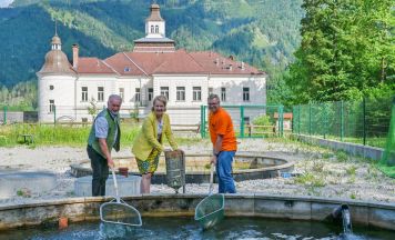 Bergbauernschule Hohenlehen betreibt biologische Fischwirtschaft