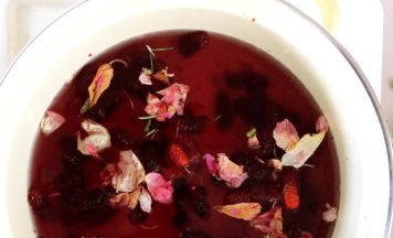 Exploring Colour – Färben mit Pflanzen