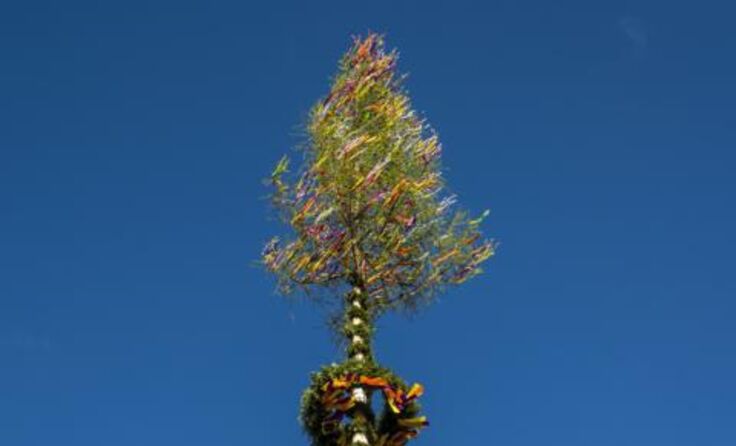 Die Freiwillige Feuerwehr Hinterstoder lädt zum Maibaum-Umschneiden ein.