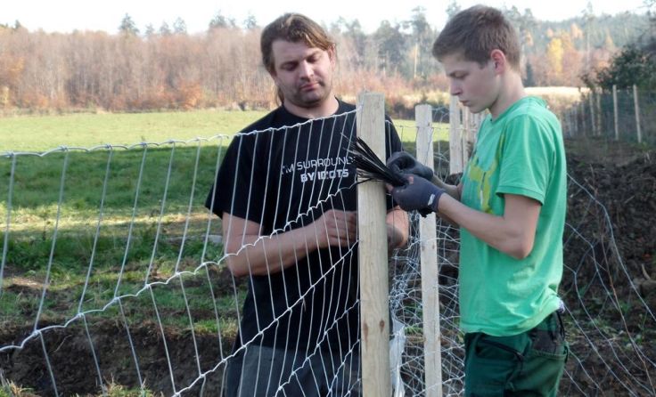 Foto: J. Mörwald