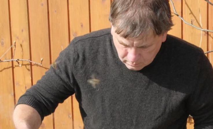 Gerhard Russmann am Bienenstock Foto: jweiermair