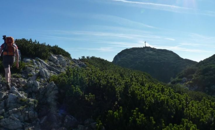Gipfel- und Naturerlebnisse stehen für Wanderführer auf dem Programm. Foto: Haslinger