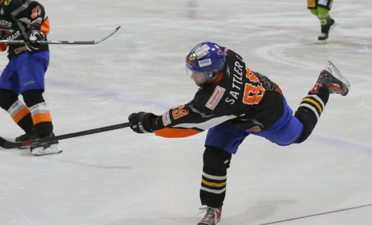 Die Ice Tigers punkteten gegen die Gäste aus Wels. Foto: Dietmaier