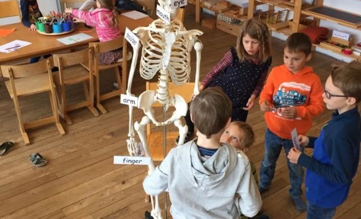 Foto: Freie Schule Kremstal