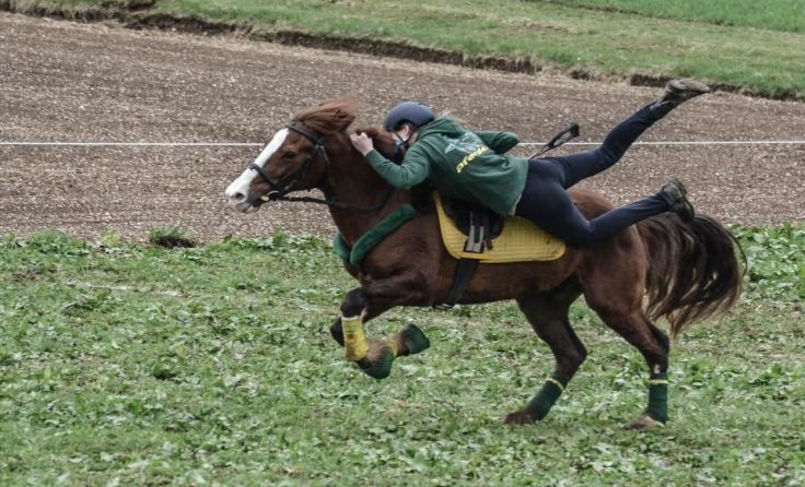 Auf und Ab und dazwischen: die Mounted Games verlangen Reitenden viel ab.