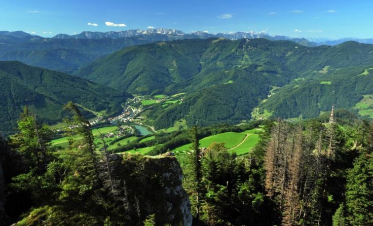 Blick über das neue Weltnaturerbe Foto: Rieß