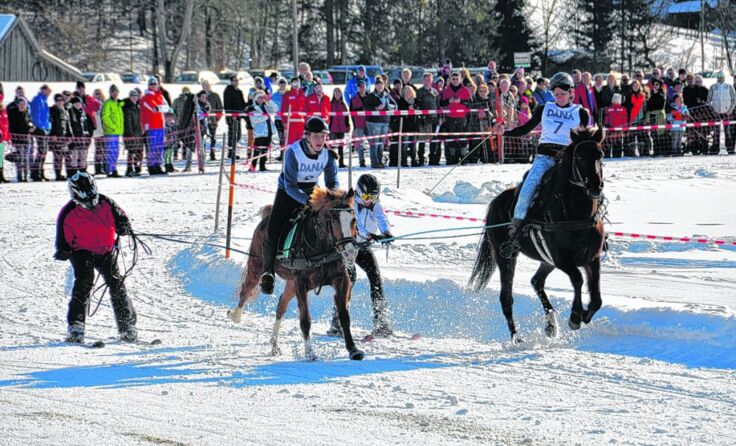 Der Skijöring-Bewerb war ein Highlight * alle Fotos: Kulturforum Pyhrn-Priel