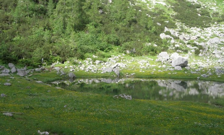 Auch in diesem Sommer findet wieder die Bergmesse beim Brunnsteinersee statt.