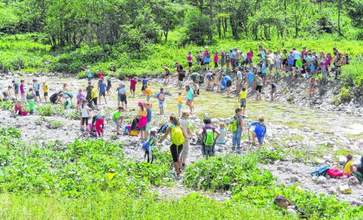 Die Mollner Volksschüler verbrachten einen Tag im Nationalpark Kalkalpen.