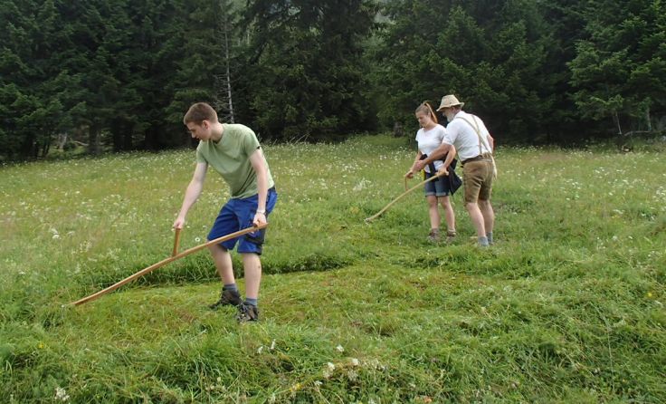 Zum Natur- und Landschaftsschutz schwangen freiwillige Helfer die Sense.