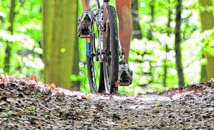 Ein Antrag auf eine Änderung des Forstgesetzes soll Forststraßen für Biker öffnen. Foto: Wodicka
