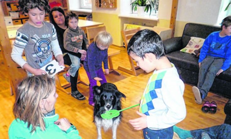 In der Förderschule Micheldorf wird die Hundetherapie eingesetzt.