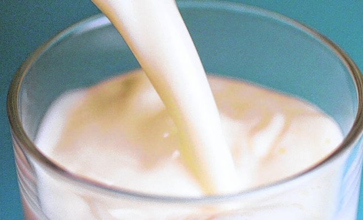 Beim Vortrag in Windischgarsten erhält man Fakten und Infos über Milch. Foto: Wodicka