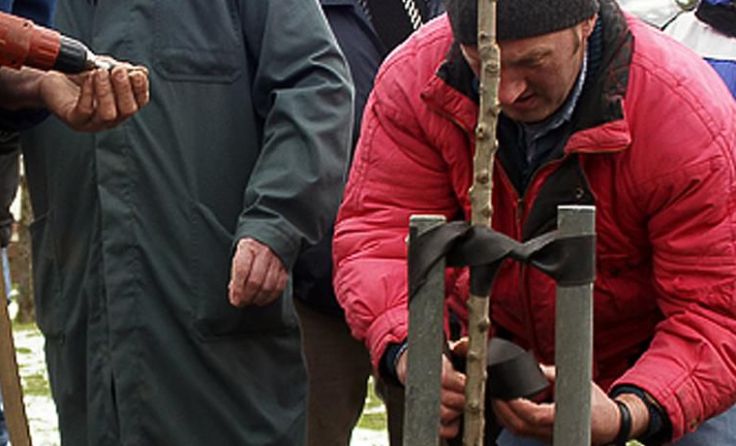 Siedlerverein zeigt, wie‘s richtig geht.