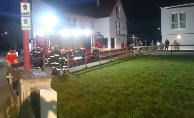 Die Feuerwehr Molln beleuchtete den Landeplatz und sicherte diesen ab. Foto: FF Molln