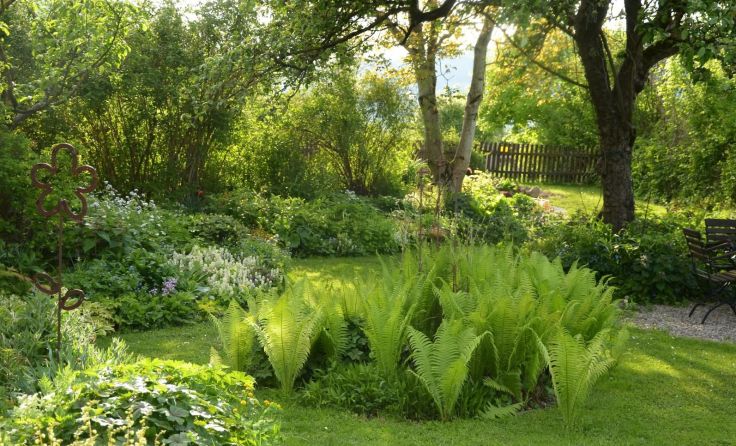 Der Naturgarten der Familie Lugerbauer ist zu besichtigen. Foto: Katrin Lugerbauer
