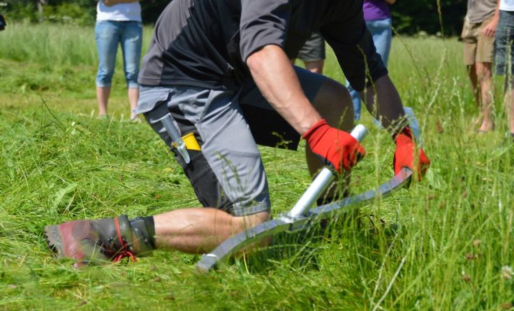 Der diesjährige Bezirksmähwettbewerb findet in Steinbach am Ziehberg statt.