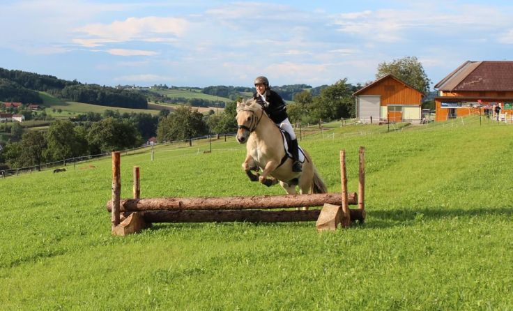 Hohe Sprünge sind beim Turnier in Steinbach an der Steyr zu sehen.