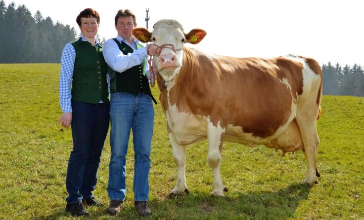 Traudi und Herbert Bauer mit ihrer 100.000-Liter-Kuh „Omsi“, Foto: Strutzenberger