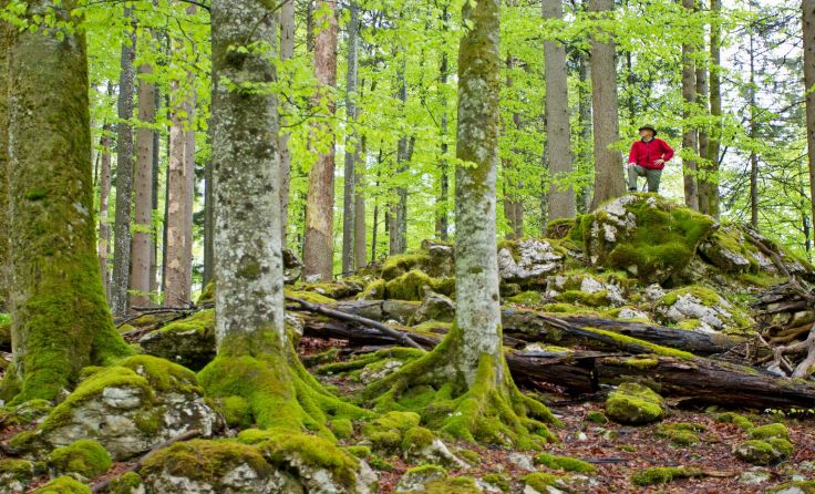 Foto: European Wilderness Society
