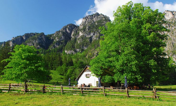 Die Laussabaueralm, Foto: Sieghartsleitner
