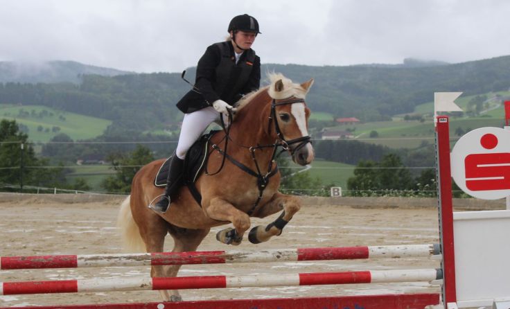 Bezirkssiergerin Stilspringen 50 und 70 cm lizenzfrei Katrin Platzer vom RV Steinbach Steyr