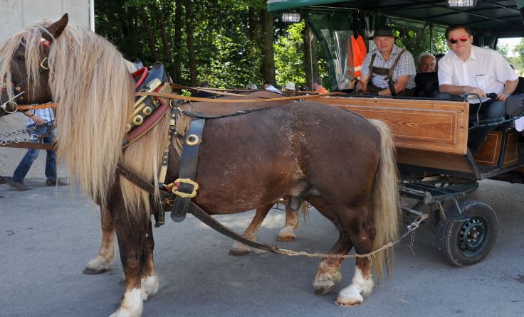 Eine Kutschenfahrt bleibt lange in Erinnerung. Foto: Franz Braunsberger