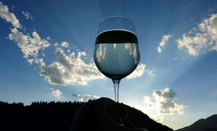 Beim Fest ein Gläschen Wein genießen.