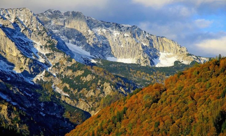 Ein Plan bis zum Jahr 2027 wurde erstellt. Foto: Nationalpark Kalkalpen/E. Mayrhofer