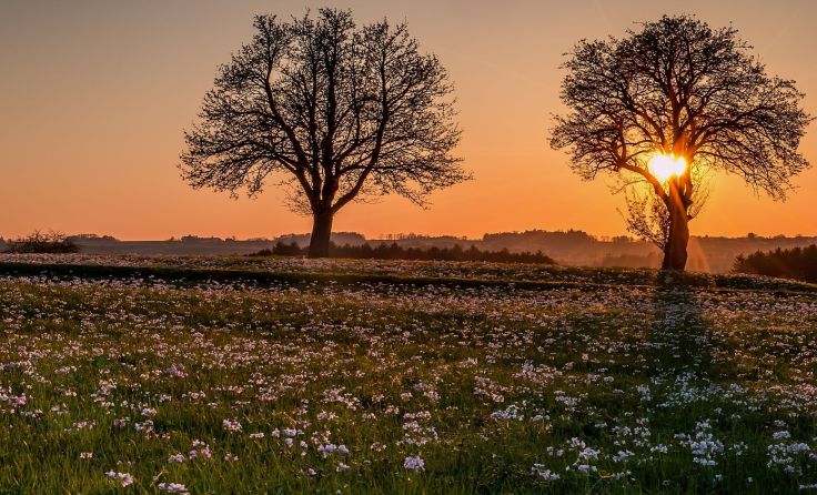 Der Fotoclub Molln zeigt wunderschöne Fotografien. Foto: Fotoclub Molln