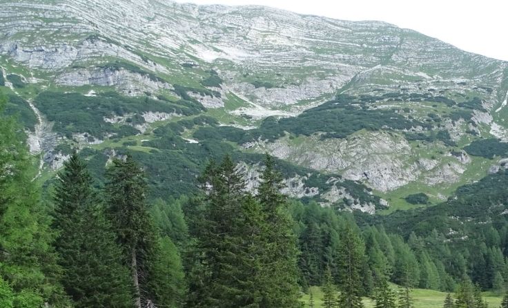 Die Wurzeralm ist reich an Naturschätzen. Foto: M. Rieß