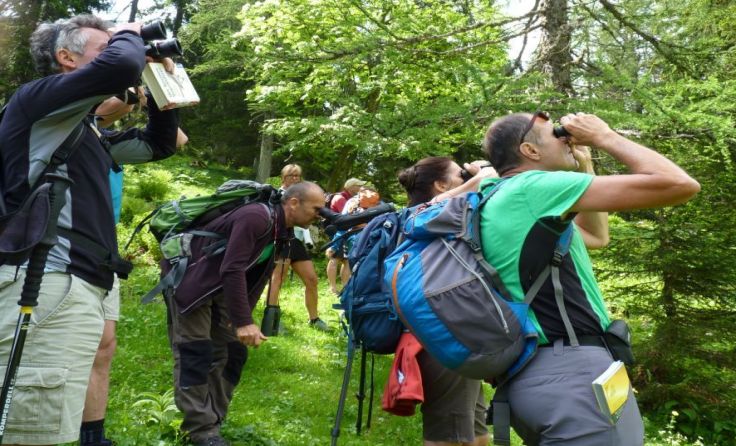 Die knapp 20 Teilnehmer bestimmten 30 Vogelarten. Foto: S. Haslinger