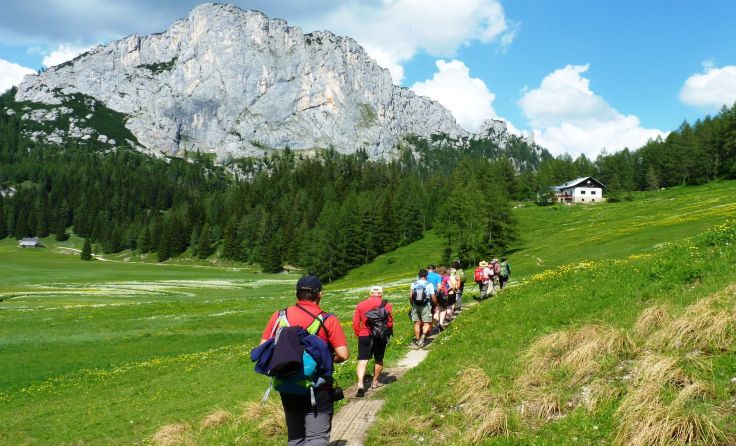 Wandergruppe auf der Wurzeralm zu Füßen des Stubwieswipfels, Foto: Sabina Haslinger