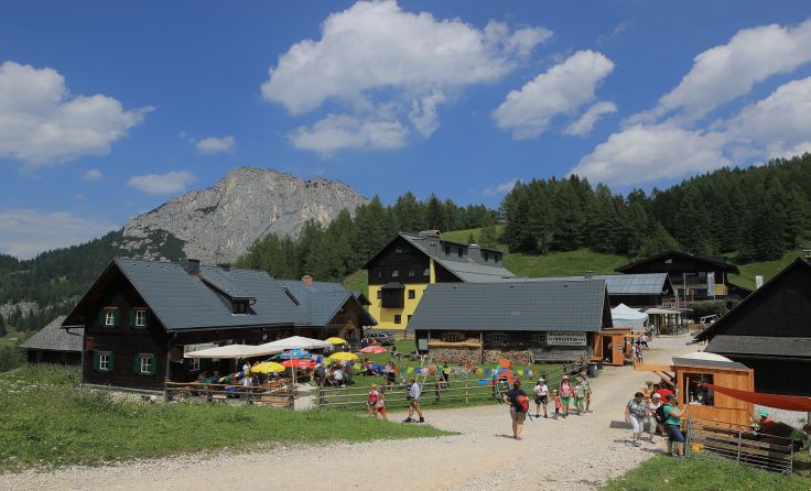 Kühle Bergluft und beste Stimmung warten beim Almfest. Foto: Hinterramskogler